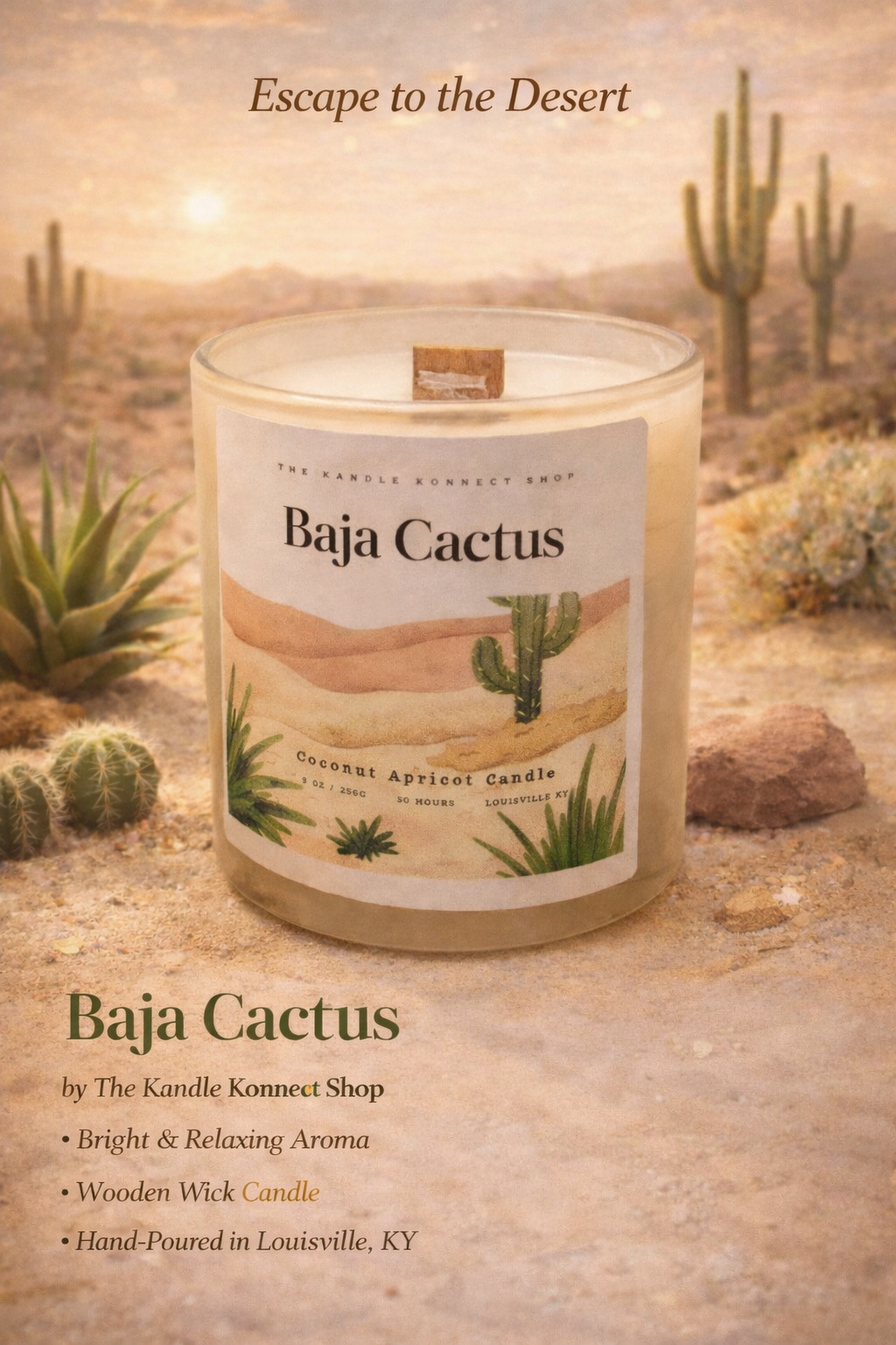 Baja Cactus Blossom